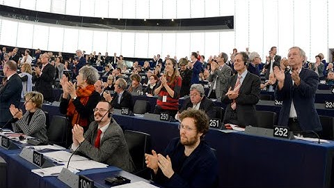 Plenary Zapping - December 2014