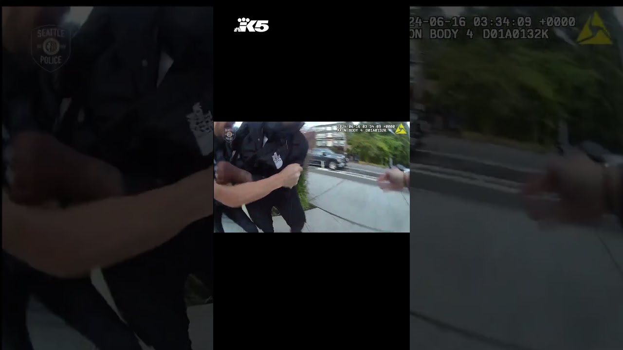 Armed Suspect Tries To Flee Police On Scooter Gun And Fentanyl Found After Arrest