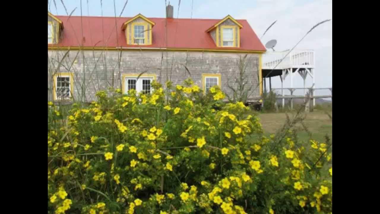 Frozen Jones YouTube