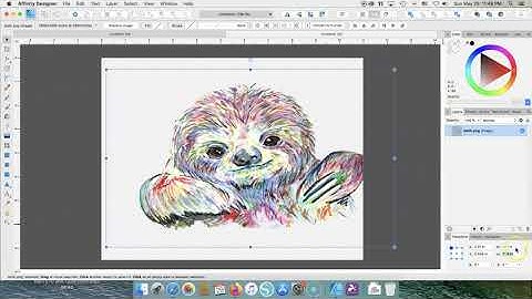Affinity Designer For Mac using the F570 - sloth