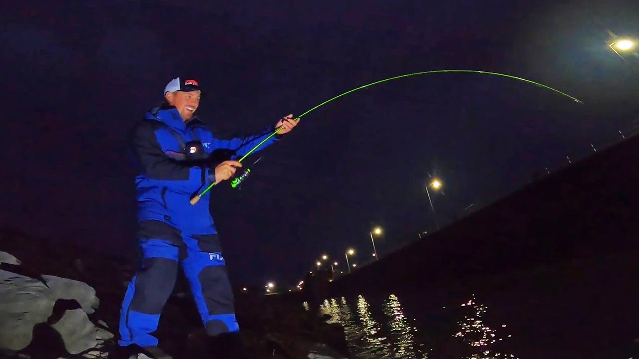 Catching SAUGER AT NIGHT Below The Dam Fishing From The BANK! YouTube