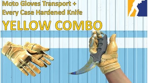 Moto Gloves Transport + All Case Hardened Knife | YELLOW COMBO | CS2 Showcase