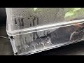 Using Seedling Mats to Boost Germination and Clone Sucess