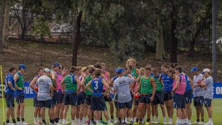 What Is The Story For North Melbourne In 2026