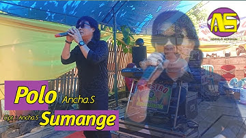 🔰Lagu Bugis Populer🔰Polo Sumange - Ancha.S🔰