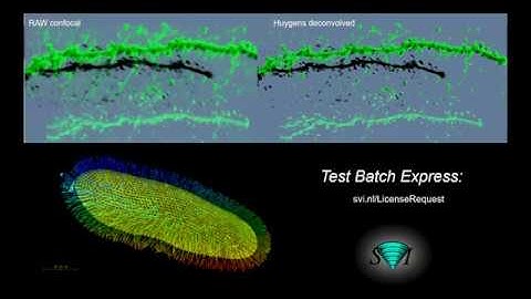 Automated High Quality Batch Deconvolution Webinar (April 7, 2020 - 5pm CET - 11am EDT - 8am PDT)