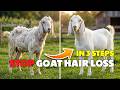 Goat Hair Fall Treatment | Bakri ke Baal Kyu Jhadte Hain | Goat Farming
