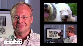 LUPA - Dogs for cure