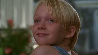 Information DENNIS THE MENACE - HEY MR WILSON Update