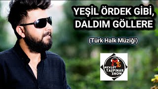 Yeşil Ördek Gibi Daldım Göllere - MEVLÜT TAŞPINAR