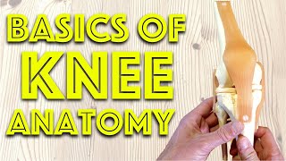 Anatomy of the Knee Joint  Basic Clinical Anatomy Revision  Dr Gill
