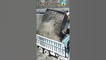 😱 big loader | cat loader #shorts #shortvideo #loader