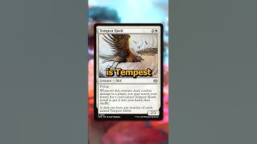 3 Tarkir Dragonstorm Commons You Should Keep an Eye Out For!