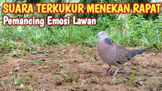 SUARA TERKUKUR MENEKAN RAPAT PEMANCING EMOSI LAWAN