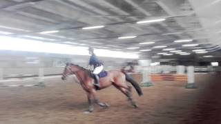 Limona Ja Reelika, Kurtna 2016