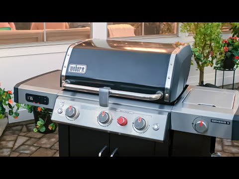 Barbacoa Weber de gas Genesis II EX-315 Negra ♨️ La Barbacoa