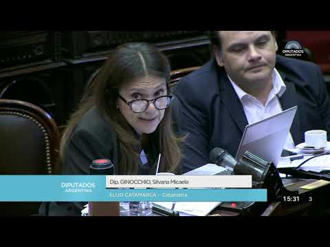 Diputada Ginocchio Silvana