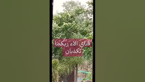 #القرآن_الكريم #islamsobhi #ستوريات #qurankareem #حالات_واتساب #إسلام_صبحي #سورة_لرحمن#suraharrahman