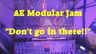 Celebrity AE Modular Jam - Don't go in there!! Wealth
