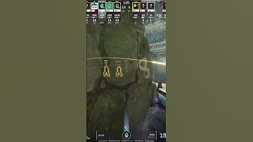 Pro Ancient Flash to SHUT DOWN B in CS2