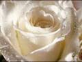 Waltz Of Love Music Stamatis Spanoudakis