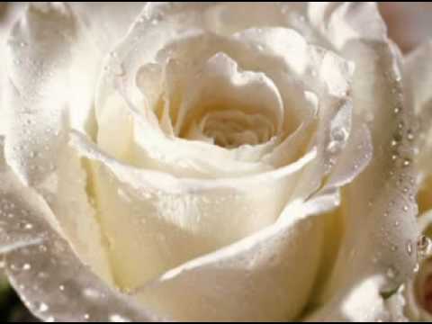 ♥♫ Waltz of Love ♥♫music Stamatis Spanoudakis - YouTube