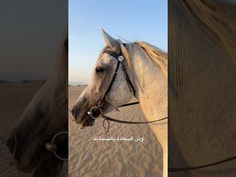 وش السعاده بالنسبه لك اكسبلور