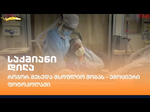 როგორ შეხვდა მსოფლიო შობას - ემოციური ფოტოკოლაჟი