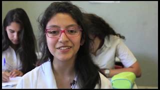 Famous NZ School- What is the "Penguins" without borders Programme based in NZ? Profile