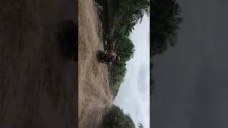 Download Lagu Jalan berdebu MP3 Download Lagu Jalan berdebu MP3