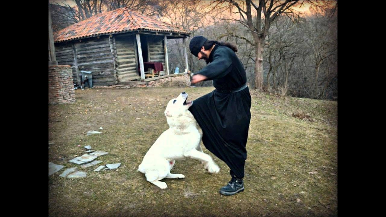 أبجدية الراهب