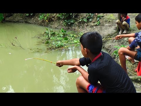 वीडियो: मनोरंजक मछली पकड़ने का कानून क्या कहता है
