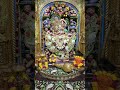 salang pur hanuman #hanumantemple #shyam #hindutemple #salangpur #sorts #kastamonu #hanuman #live