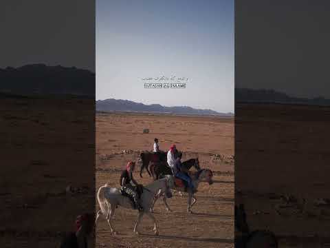 اغنية غليص ولد رماح اواه من نفس لظى الوجد صابها