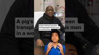 World's first PIG KIDNEY transplant  Doctor Explains! #springonshorts
