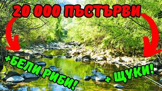 видео: ЕПИЧЕН риболов на ПЪСТЪРВА в сърцето на БАЛКАНА! ХИЛЯДИ РИБИ! +риболов на ЩУКА и БЯЛА РИБА! ОСЪМ2022 картинка: ЕПИЧЕН риболов на ПЪСТЪРВА в сърцето на БАЛКАНА! ХИЛЯДИ РИБИ! +риболов на ЩУКА и БЯЛА РИБА! ОСЪМ2022