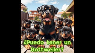 El Rottweiler