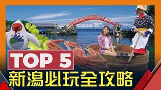 【日本新潟玩很大】 新潟Top5 | にいがたけん必買！必吃！必玩 ...