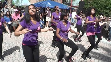 UCF Gammas Week 2013 Yardshow