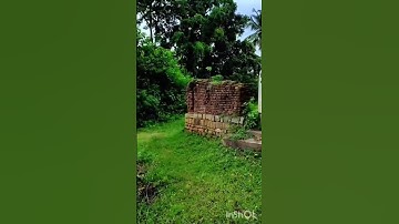 marikulirin neelathulasi#shortscover done by HARIHARAN A.C & SUNITH K. M