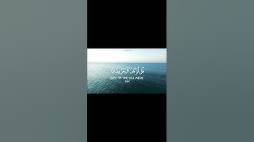 تلاوة هادئة و مريحة بصوت الشيخ ماهر المعيقلي.|#ماهر_المعيقلي #quran