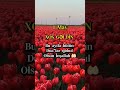 #1million #may #abuneol