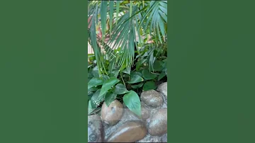دعاء اللهم إني أسألك من الخير كله عاجله وآجله ما علمت منه وما لم أعلم وأعوذ بك من الشر كله 