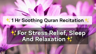 Soothing Quran Recitation for Sleep, Relaxation, & Stress | 1 Hour Beautiful Quran Recitation screenshot 3