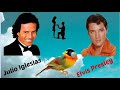 ELVIS PRESLEY & JULIO IGLESIAS - LA LETRA DE LA CANCION ESOS AMORES