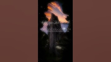 Surat At-Tin (The Fig) | Mishary Rashid Alafasy | مشاري بن راشد العفاسي | سورة التين