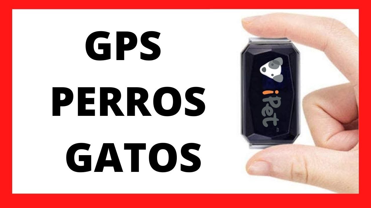 Tarjeta SIM para localizador GPS sin permanencia
