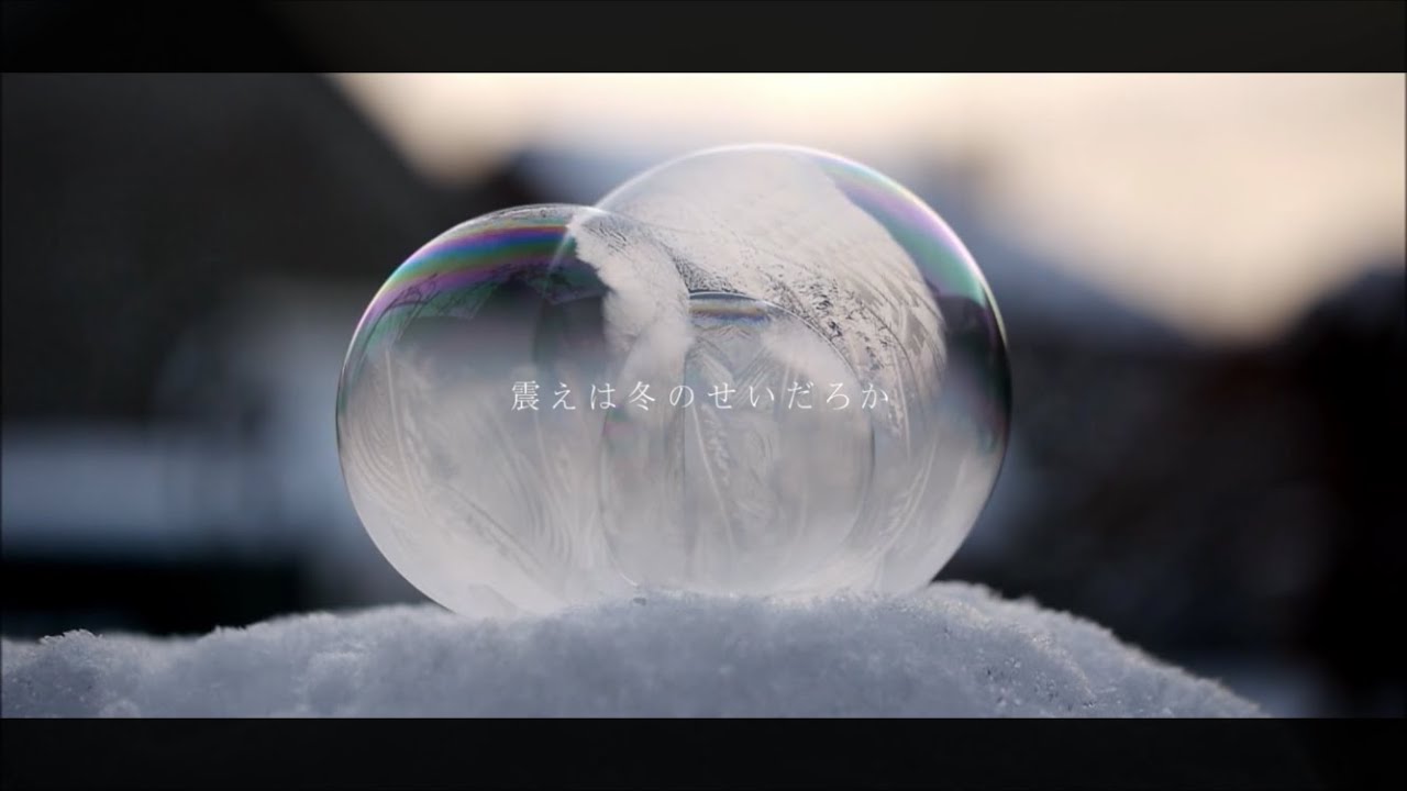 幸せの白い妖精が宿る白樺 アレンジメント ♡優しい気持ち♡ 清々しい