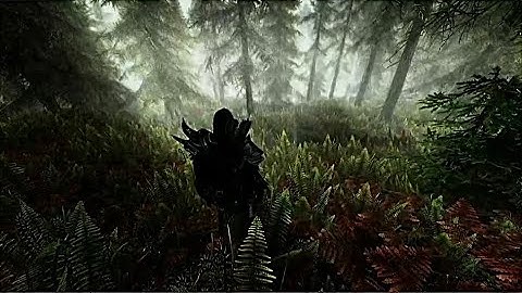 SKYRIM PS5 - Ultimate Mod load order