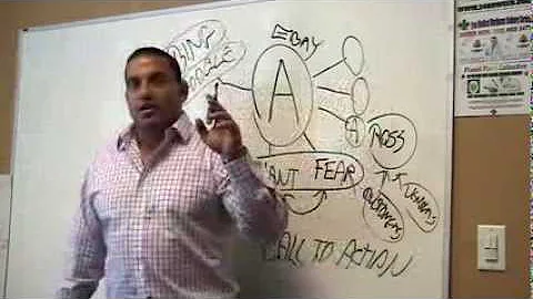 Authority Websites - How they effect each other